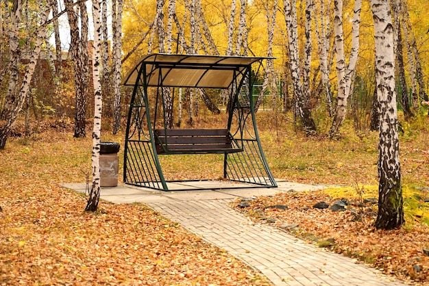 Balançoire dans la forêt d'automne