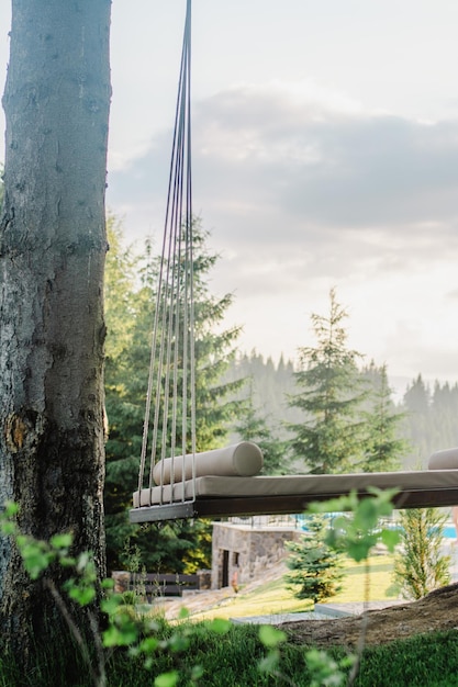 Une balançoire près d'un arbre