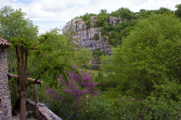 Balazucardechefrance