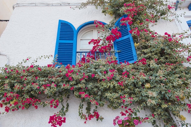 Balcon décoré de fleurs dans une rue de Mojacar Espagne