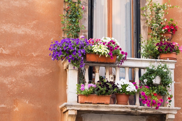 Balcon avec des fleurs colorées