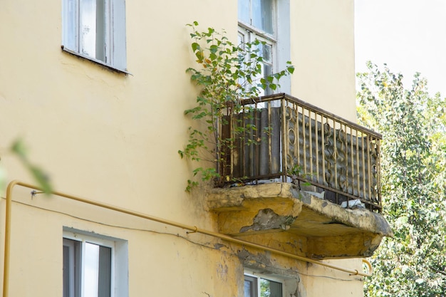 Sur le balcon de la maison pousse un petit arbre