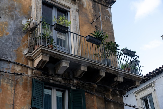 Un balcon avec des plantes en pot et une balustrade