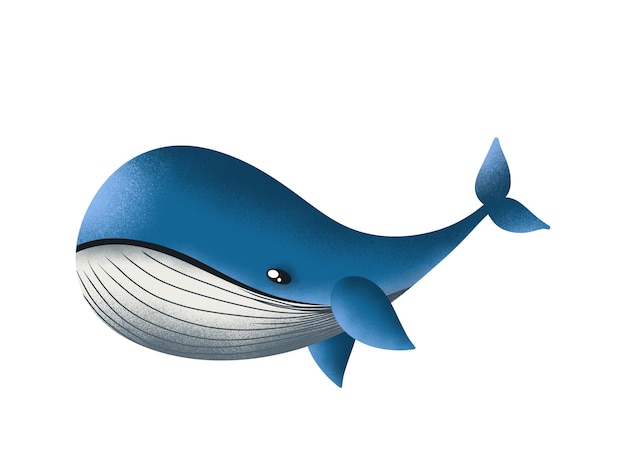 Photo baleine bleue isolée sur blanc _ illustration numérique en style dessin animé