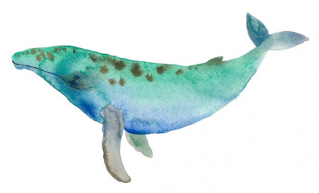 Baleine multicolore aquarelle