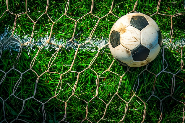 Une balle de football marquée frappe le fond du filet sur un terrain d'herbe verte luxuriante.