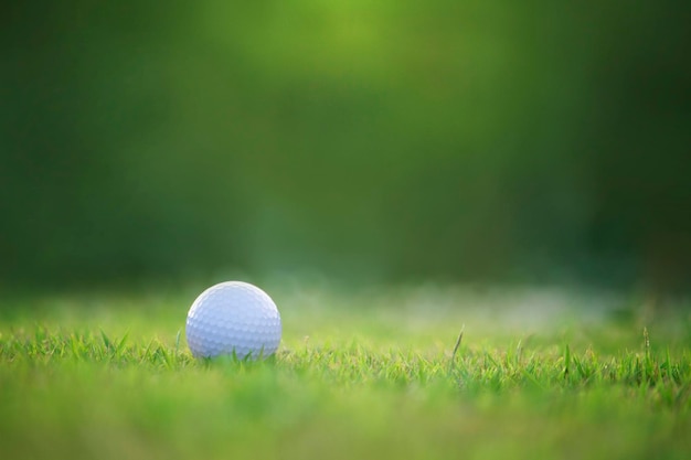 La balle de golf est sur une pelouse verte dans un beau parcours de golf