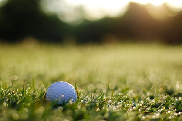 La balle de golf est sur une pelouse verte dans un beau parcours de golf