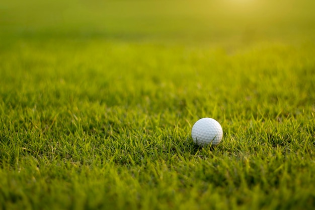 La balle de golf est sur une pelouse verte dans un beau parcours de golf