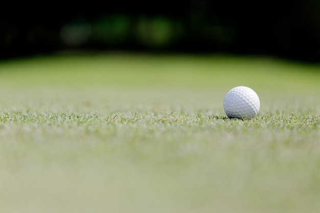 Photo balle de golf sur le green