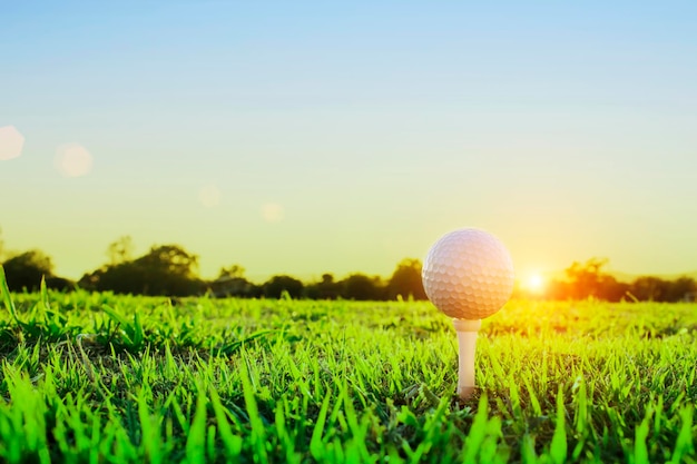 Balle de golf sur tee dans un magnifique parcours de golf avec le soleil du matin