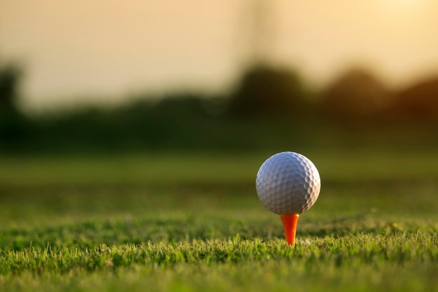 Balle de golf sur tee dans un magnifique parcours de golf avec le soleil du matin