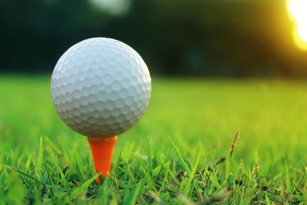 Balle de golf sur tee dans un magnifique parcours de golf avec le soleil du matin