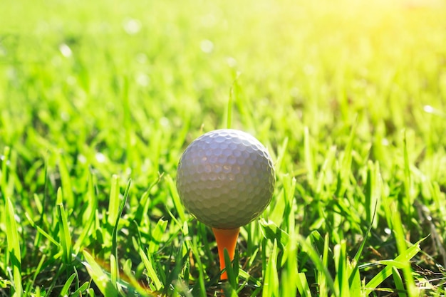 Balle de golf sur tee dans un magnifique parcours de golf avec le soleil du matin