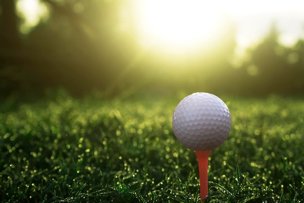 Balle de golf sur tee dans un magnifique parcours de golf avec le soleil du matin