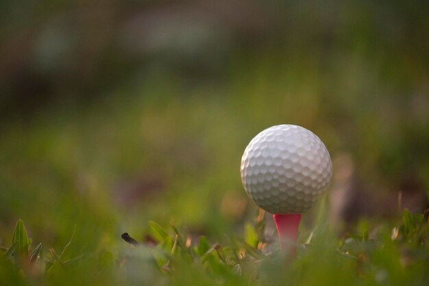 Balle de golf sur tee dans un magnifique parcours de golf avec le soleil du matin