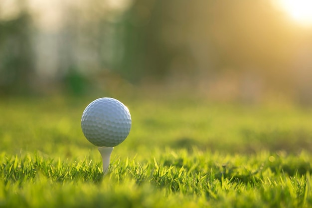 Balle de golf sur tee dans un magnifique parcours de golf avec le soleil du matin