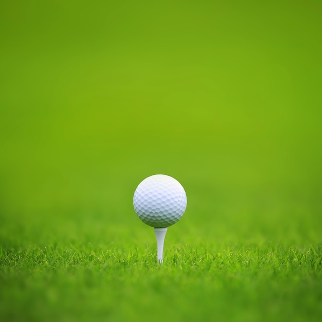 Balle de golf sur le tee sur l'herbe verte du terrain de golf, arrière-plans pour la bannière de l'espace de copie pour le texte