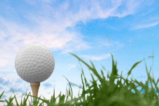 Balle de golf sur le tee sur le terrain de golf