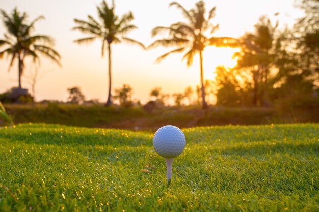 Balle de golf sur le tee