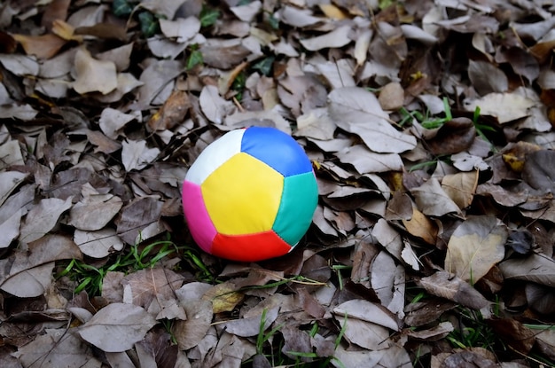 Une balle de jonglage sur des feuilles d'automne