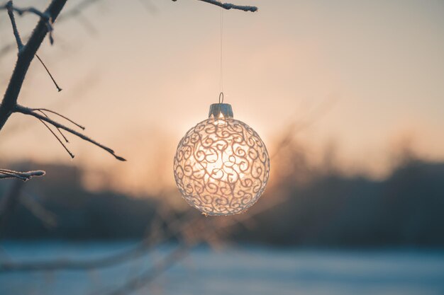 La balle de Noël sur l'arbre en plein air photo créative Noël de la nouvelle année