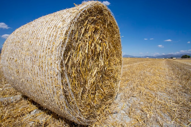 Balle de paille dans le domaine