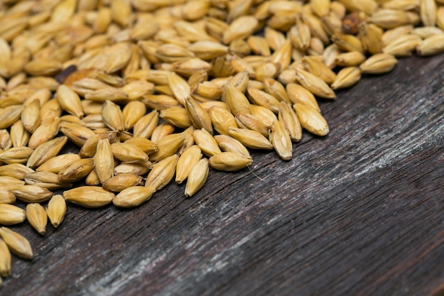 Balle de riz paddy sur fond de bois