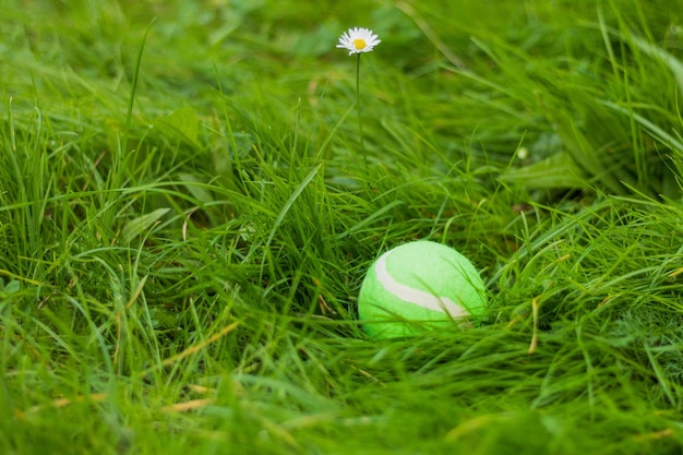 Balle de tennis dans l'herbe verte Arrière-plan avec espace de copie