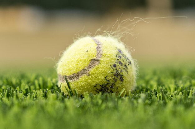 une balle de tennis sur l'herbe.