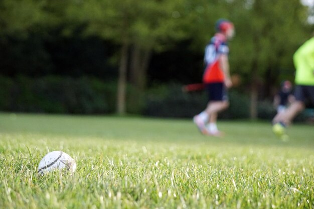 La balle sur le terrain herbeux