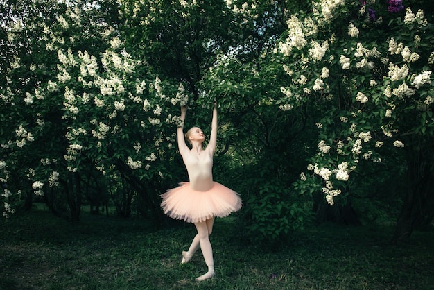 Photo ballerine, danse, dehors, classique, ballet, pose, fleurs, paysage