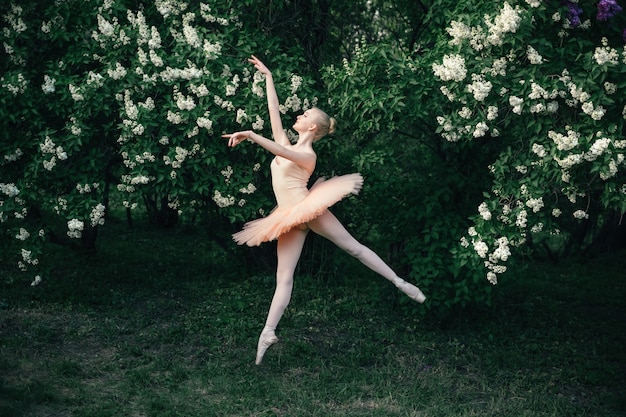 Photo ballerine, danse, dehors, classique, ballet, pose, fleurs, paysage