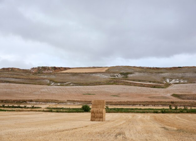 Balles de foin, campagne espagnole