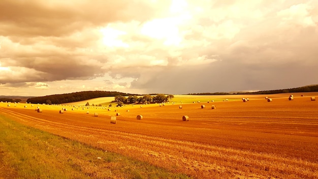 Photo des balles de foin sur le champ contre le ciel