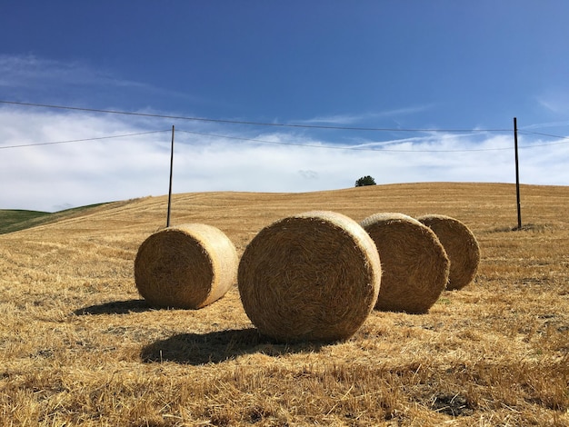 Photo des balles de foin sur le champ contre le ciel