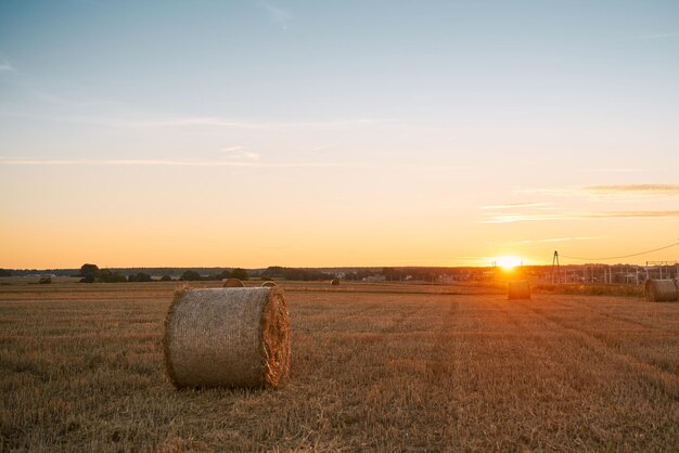 Balles de foin dans un champ récolté au coucher du soleil avec sun flare