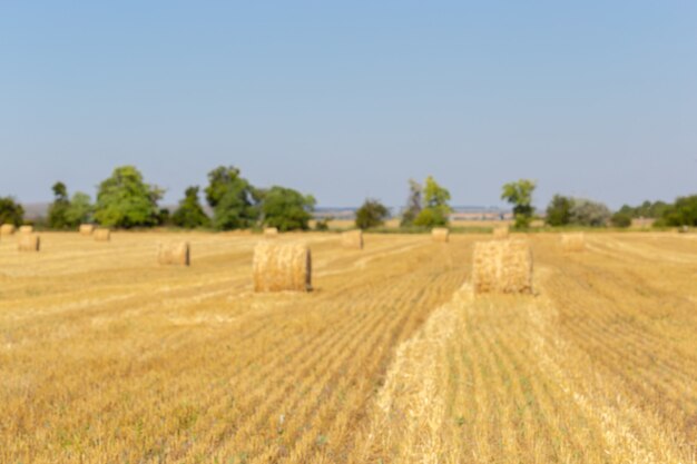 Balles de foin doré dans la campagne