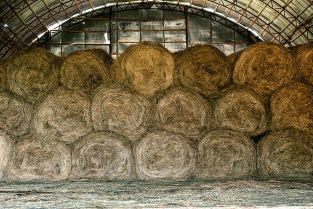 Balles de foin stockées dans une ancienne grange en tôle à la campagne russe