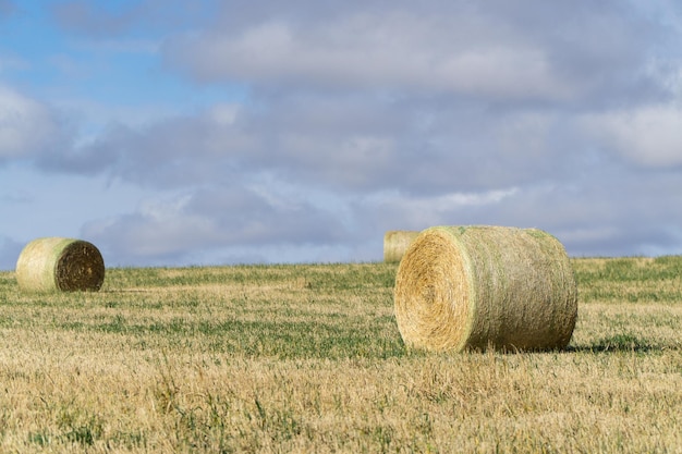 Balles de foin sur terrain agricole avec fond de ciel nuageux