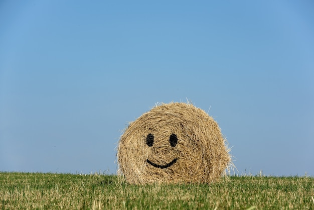 Balles de paille tristes décoratives pour la fête des récoltes