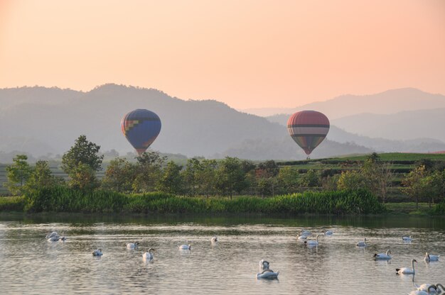 Ballon coloré sur le terrain avec cygne sur le lac