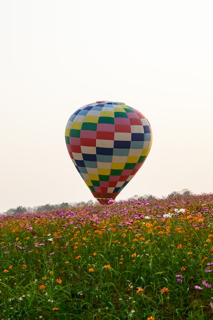 Ballon flottant au milieu du champ de fleurs cosmos