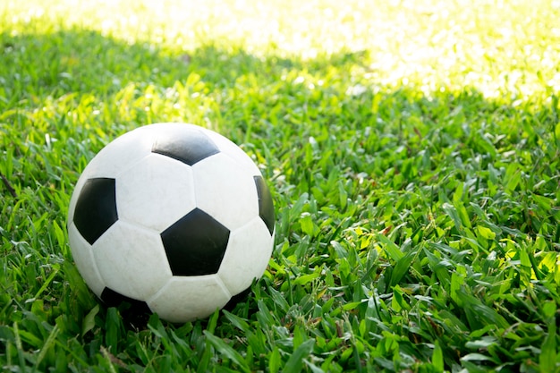 ballon de foot sur l&#39;herbe verte.