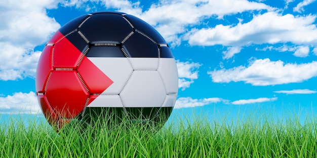 Ballon de football avec drapeau palestinien sur l'herbe verte contre le ciel bleu rendu 3D