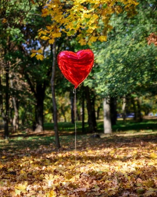 Ballon rouge vole dans le parc en automne