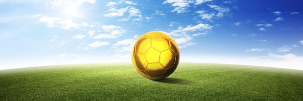 Ballon de soccer sur aire de jeux verte. Notion de football