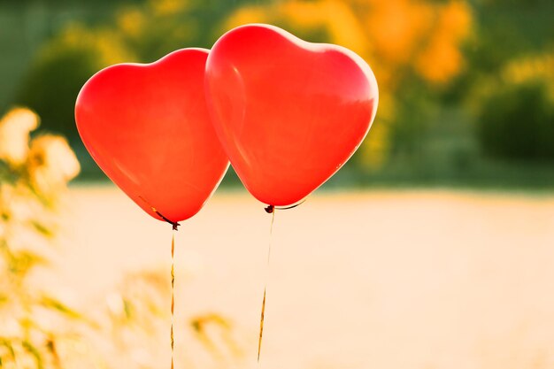 Ballons coeur d'amour, à l'extérieur