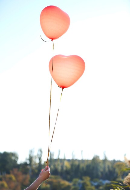 Ballons coeur d'amour sur fond de ciel