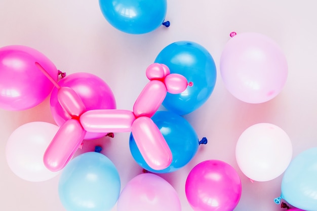 Ballons colorés et chiens ballons sur fond de couleur pastel. Concept de fête ou d'anniversaire. Mise à plat, vue de dessus.